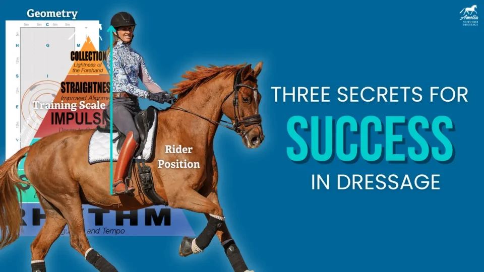 dressage basics A (1)