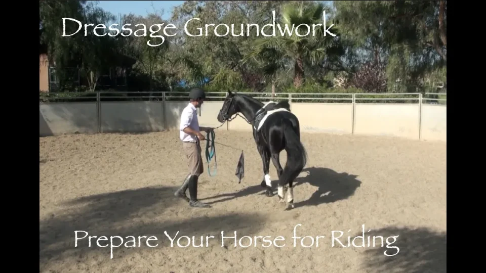 dressage groundwork prepare your horse for riding