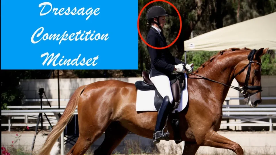 dressage rider mindset