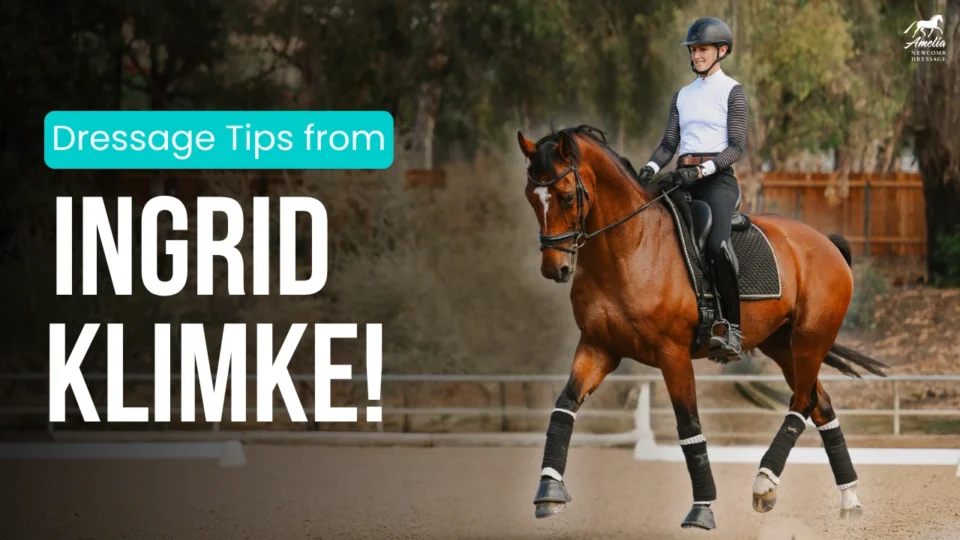 A rider in appropriate riding attire executes an elevated trot on a bay horse in an outdoor dressage arena. Large text reads, Dressage Tips from Ingrid Klimke! The background features well-maintained trees and a bordered arena fence, emphasizing key principles of dressage training.