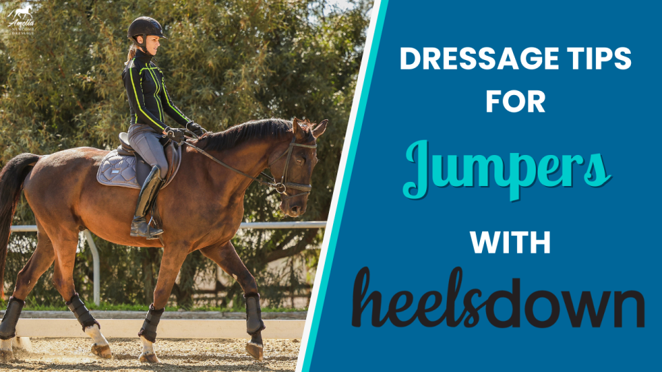 dressage tips jumpers