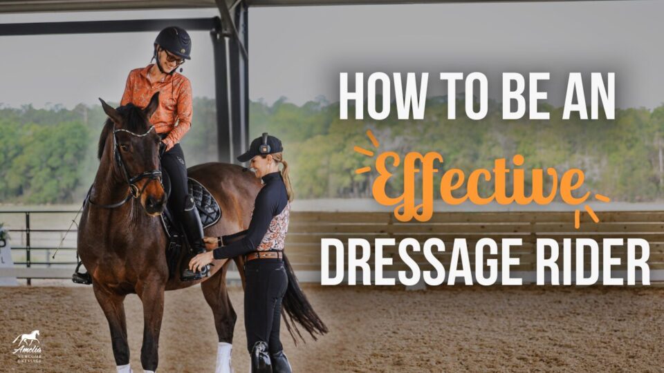A bay horse is worked in a dressage arena by two women in riding attire, practicing foundational movements such as the working trot and transitions. One rider, dressed in schooling clothes, sits in the saddle while an instructor offers direction from the ground, focusing on accuracy of aids and rider alignment. The text “How to Be an Effective Dressage Rider” appears on-screen. Trees form the backdrop beyond the arena.