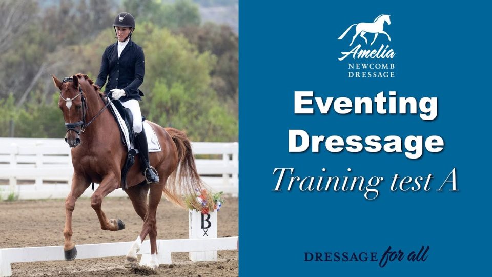 eventing dressage training test A
