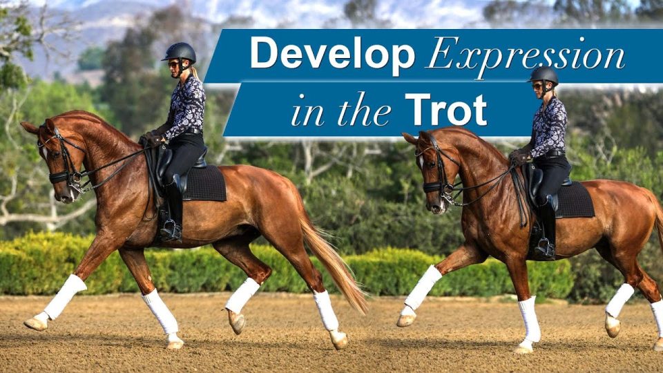 expressive trot