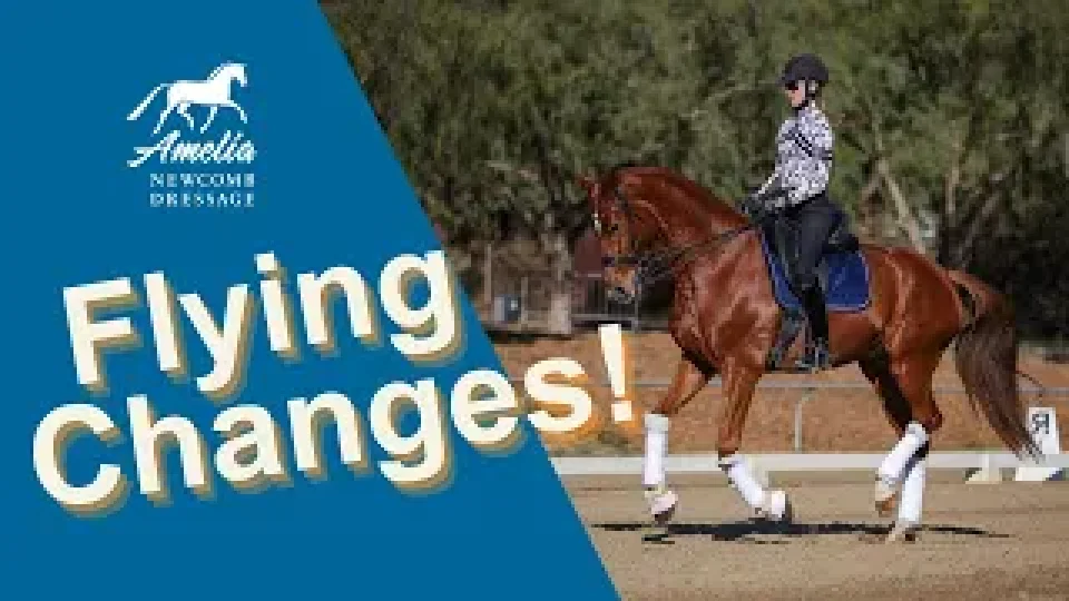 flying changes