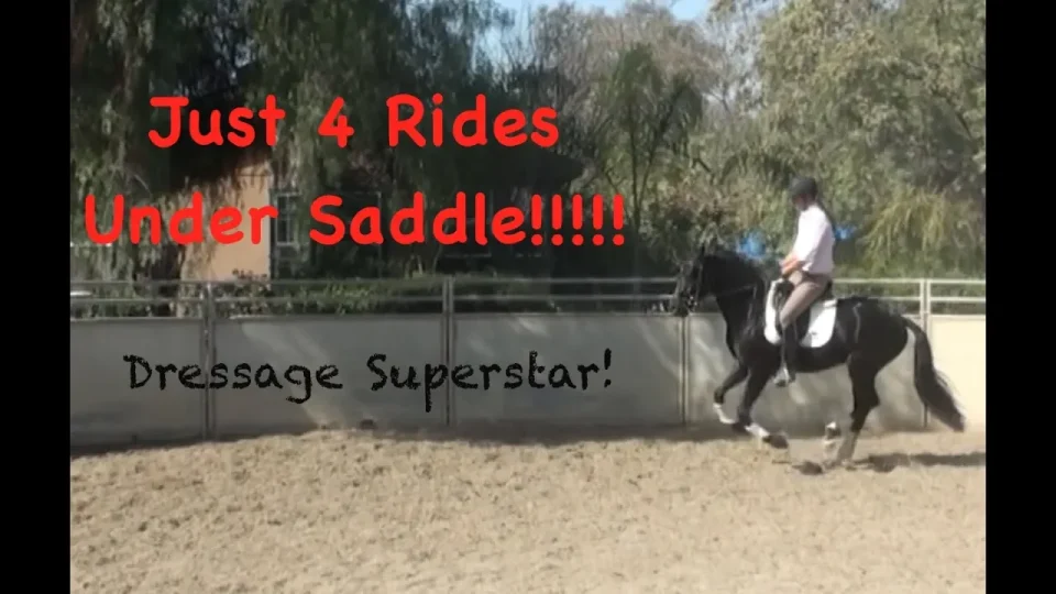 fourth ride under saddle
