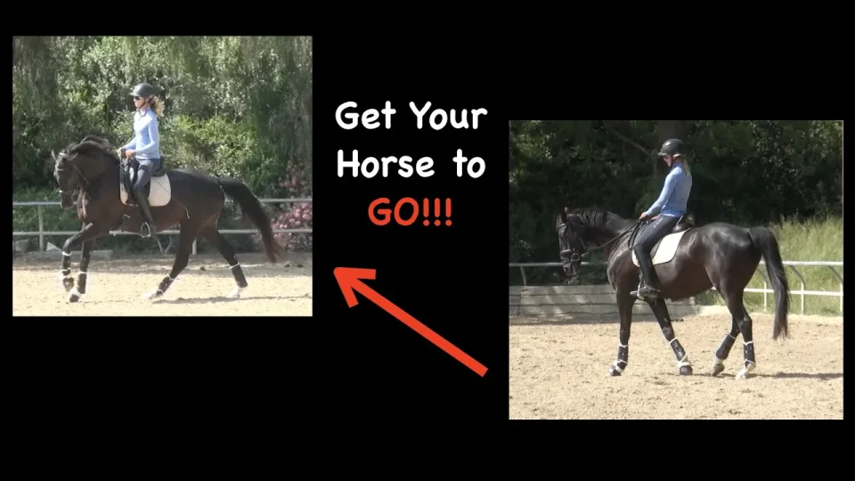get your horse to go