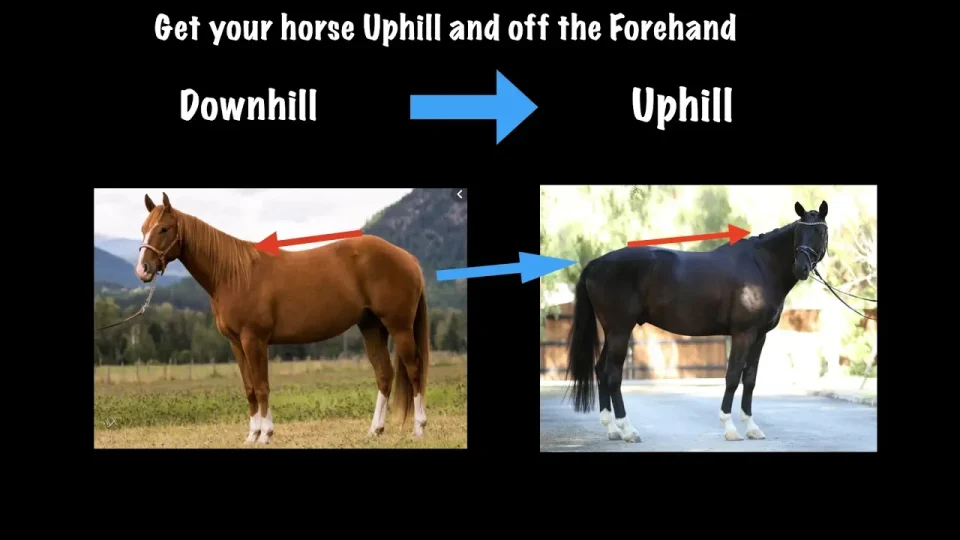 get your horse uphill