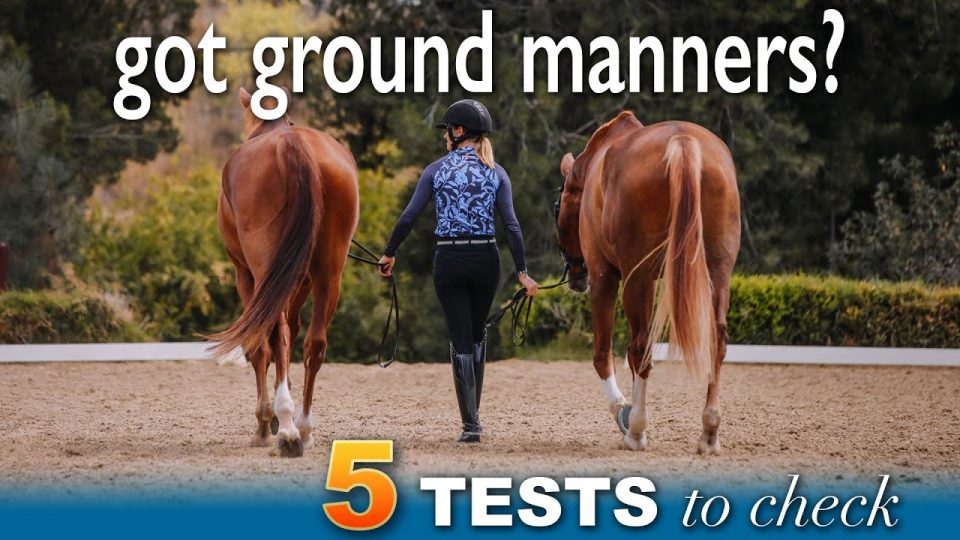 got ground