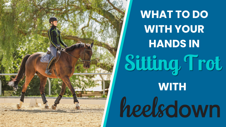 What to do with your hands in sitting trot