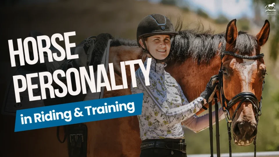 horse personality A