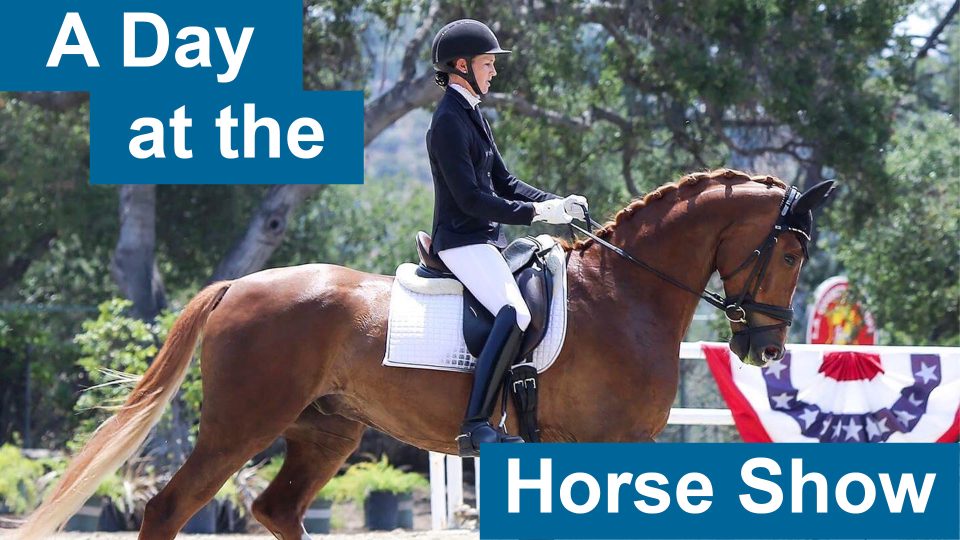 horse show