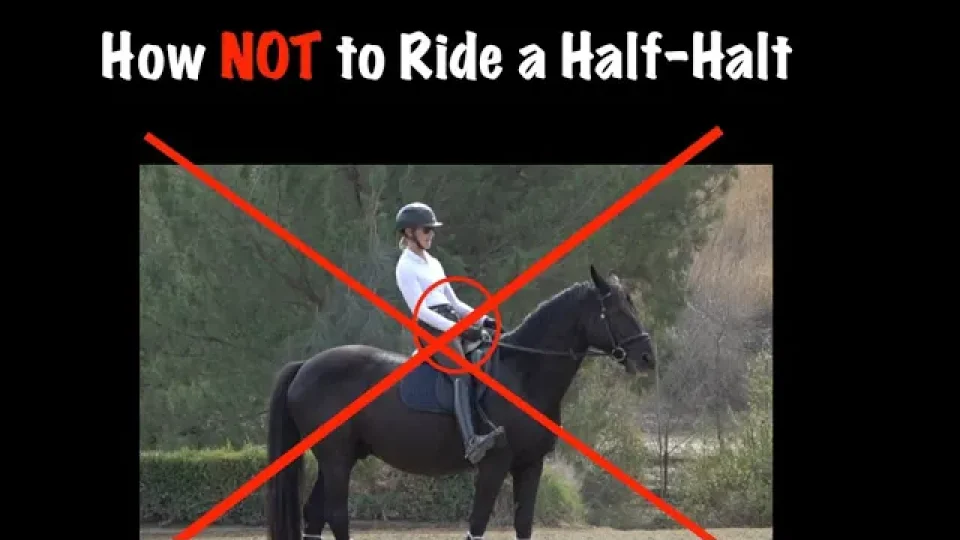 how not to ride a half halt