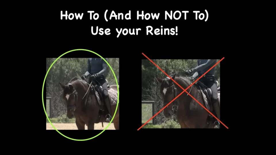 how to and not to use your reins