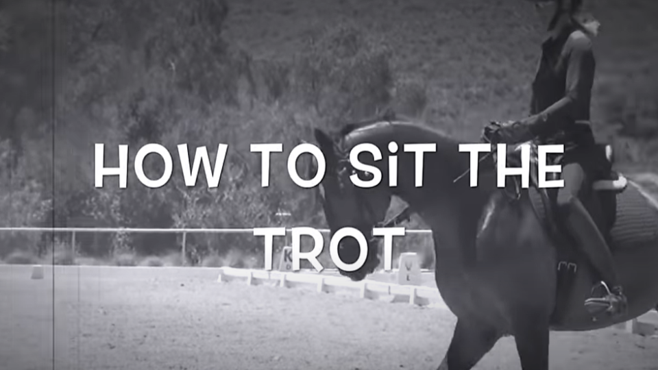 how to sit the trot