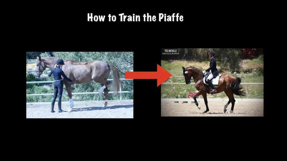 how to train the piaffe