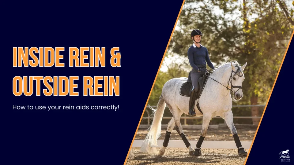 inside vs outside rein A