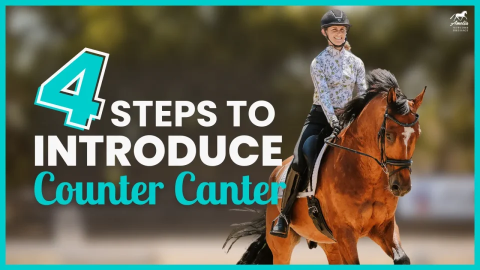 intro counter canter A