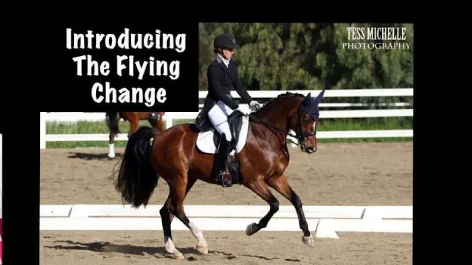 introducing the flying change