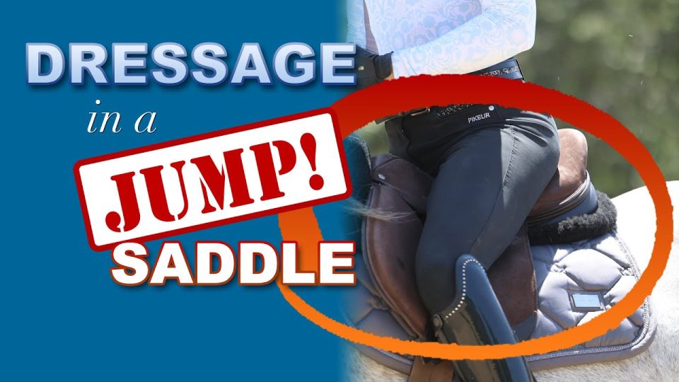 jumpsaddle