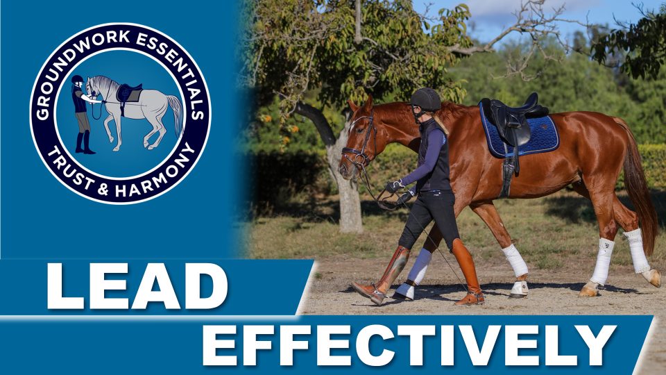 leadingYourHorse