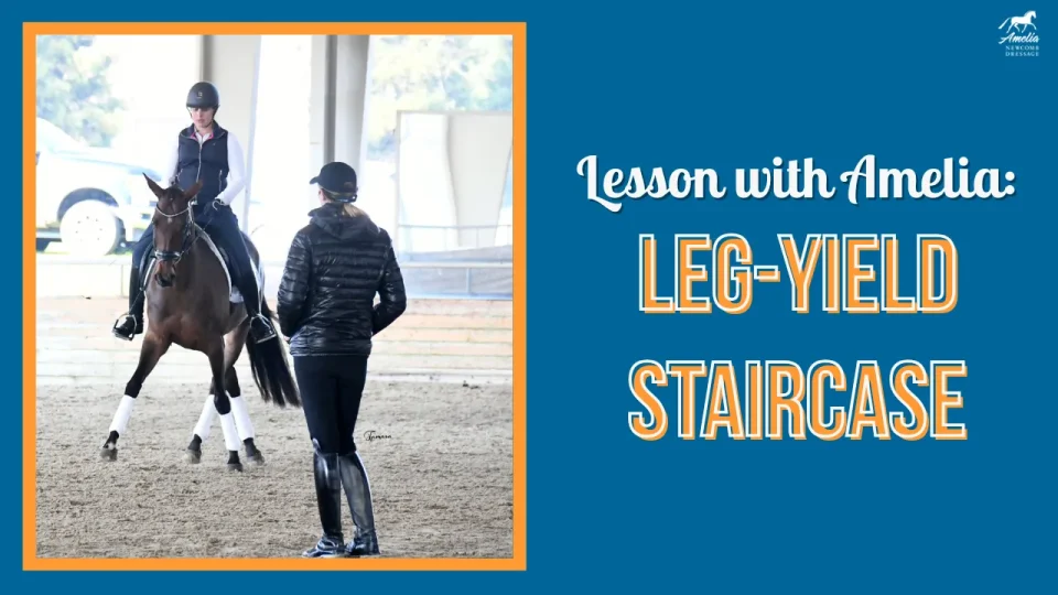leg yield staircase w student