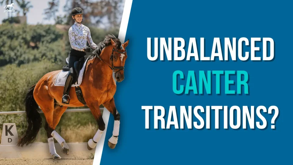 leg yield to canter A