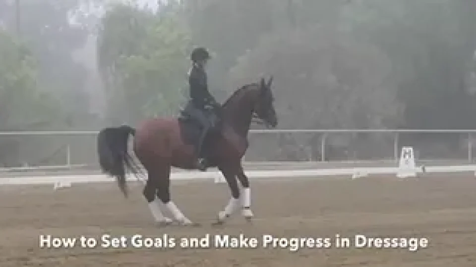 C:\Users\Niamh\Downloads\makr progress and set goals
