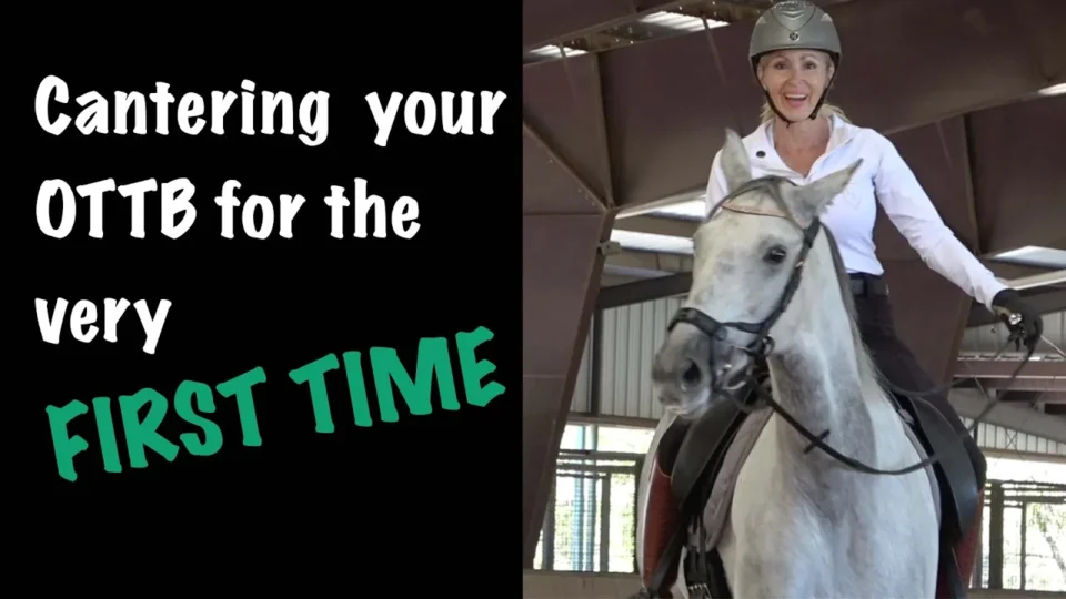 A person in riding gear is cantering on a chestnut horse with white leg wraps in an outdoor arena. The text The Canter!!!! appears in bold white letters across the image.