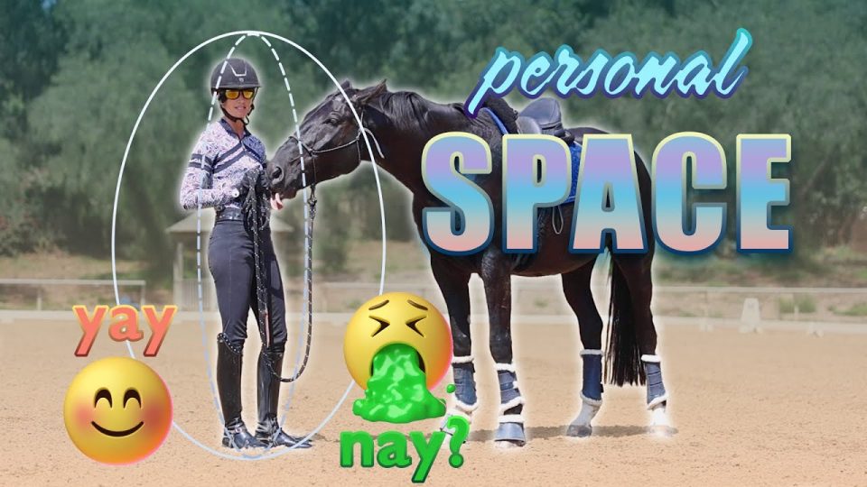 space bubble