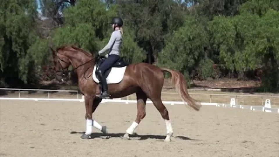 mq2