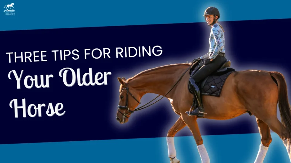 older horse A
