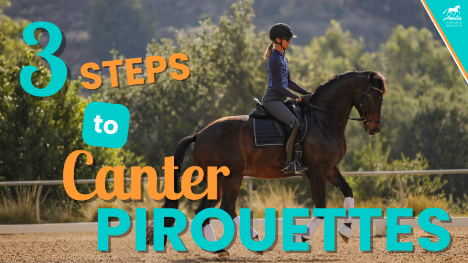 Amelia Newcomb performing canter pirouettes. Learn the 3 steps to canter pirouettes.