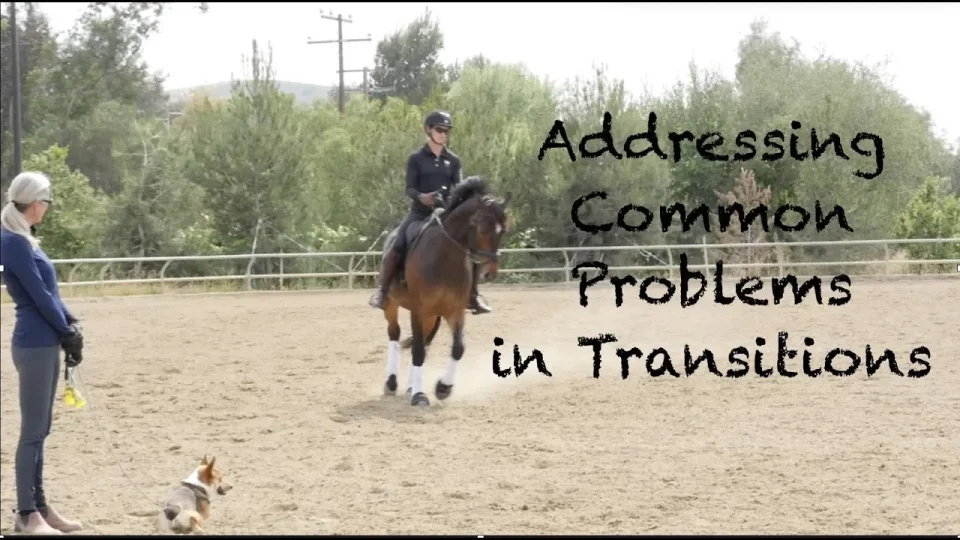 problems in transitions