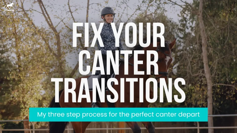 round canter transition A