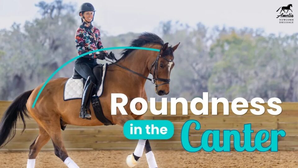A rider in a colorful jacket canters on a bay horse in an outdoor arena, maintaining consistent suppleness and connection to keep the horse correctly round through the canter stride. The text overlay reads “Roundness in the Canter.” Mature trees and a wooden fence frame the background.
