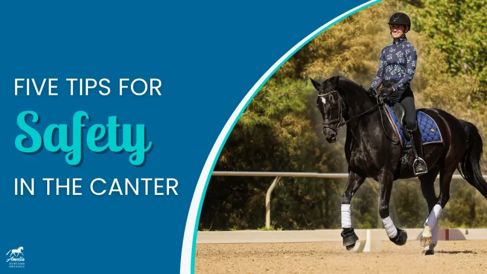 safe in the canter A
