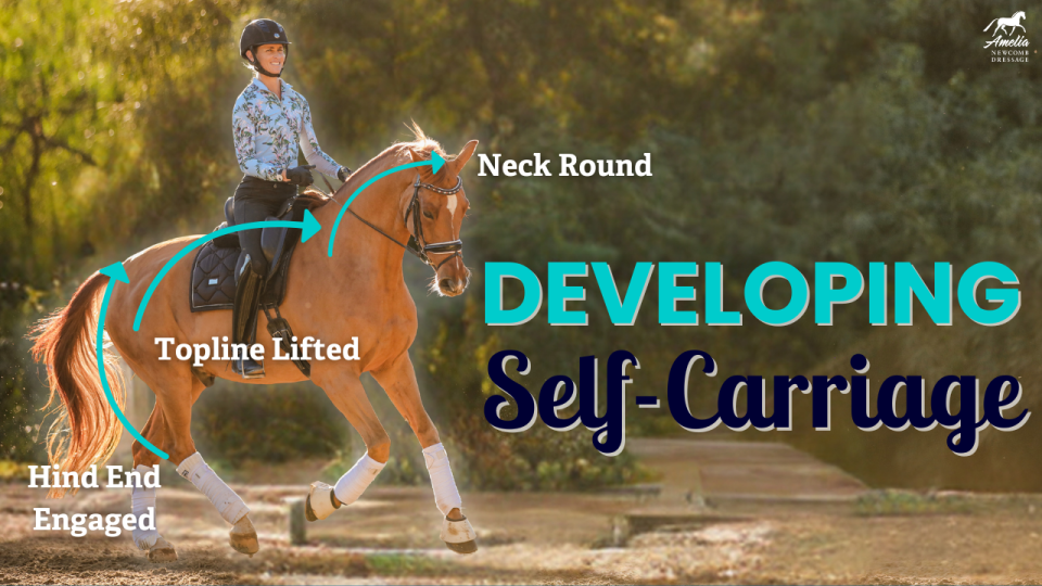 self carriage A