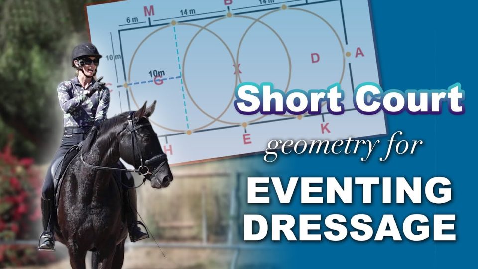 short court geometry for eventing dressage