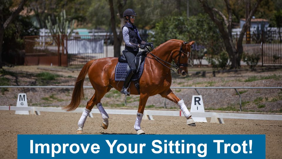 sitting trot