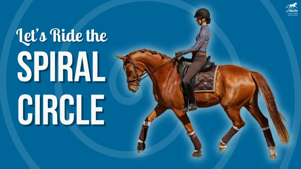 spiralcircle A (1)