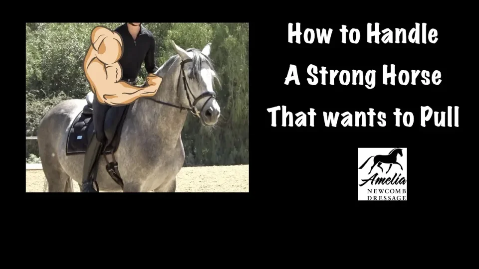 strong horse