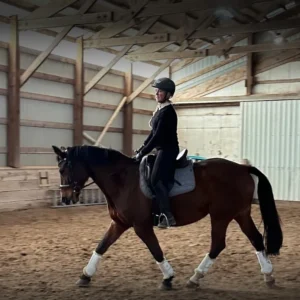 A person wearing a helmet and riding attire is riding a dark brown horse with white leg wraps inside an indoor arena with wooden walls and a sand floor.