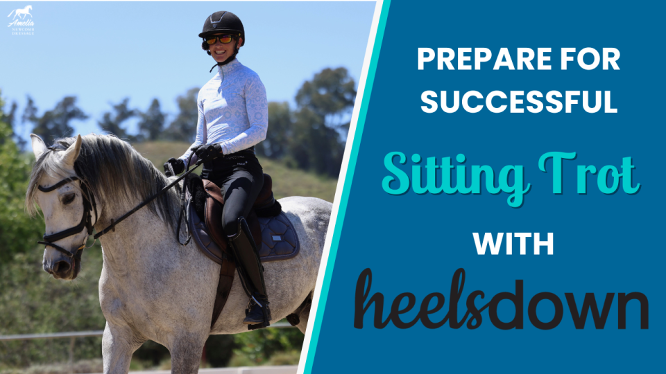 prepare for successful sitting trot