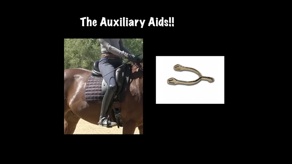 the auxiliary aids