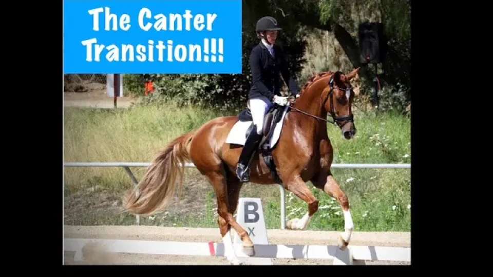 the canter transition