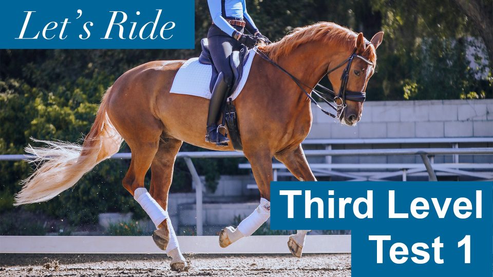 third level test