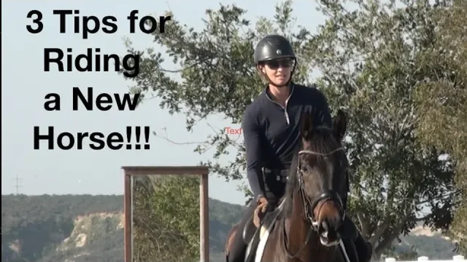 tips for riding a new horse