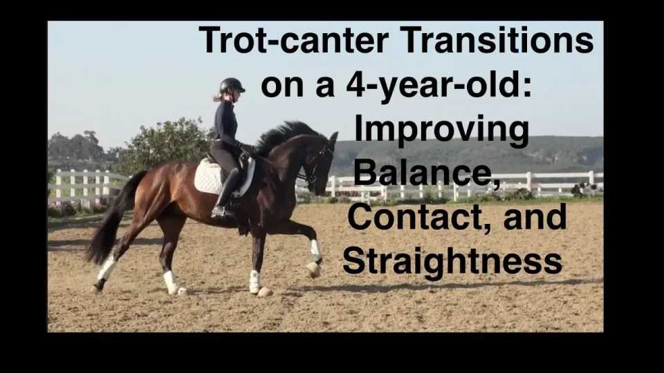 trot canter transitions