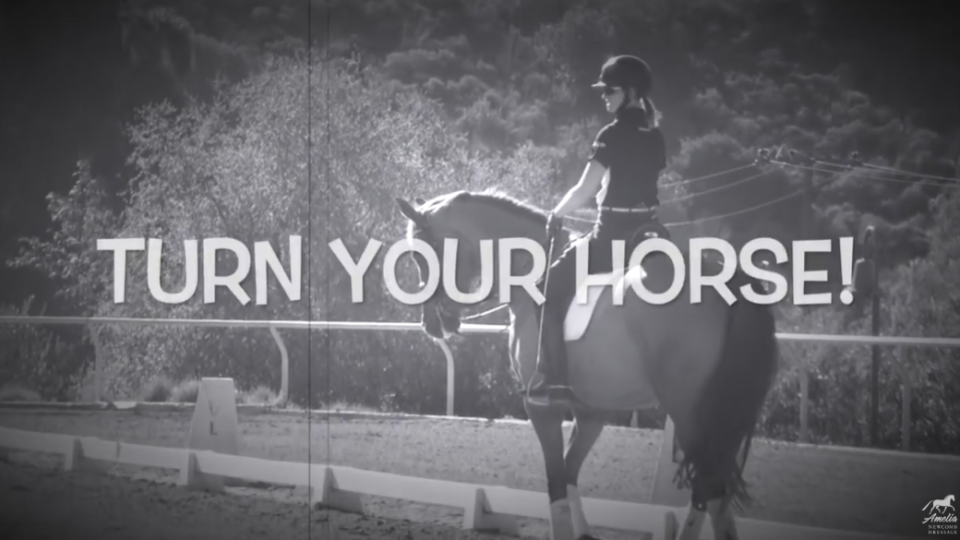 turn your horse
